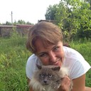 ���������� ������, ���� ������� ������, 46 ���, ������������ ��� ������, ����� � ���������, c�������� ���������