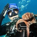 ���������� ������, ���� ������� ������, 53 ����, ������������ ��� ����� � ���������, c�������� ���������