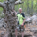 ���������� ��������, ���� ������� ����, 43 ����, ������������ ��� ����� � ���������, c�������� ���������