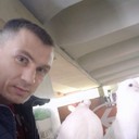  ,   , 42 ,   ,   , c 