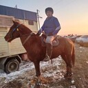 ���������� �������, ���� ������� �����, 41 ���, ������������ ��� ������, ����� � ���������, c�������� ���������