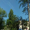 ���������� ������-��-����, ���� ������� ���, 26 ���, ������������ ��� ������, ����� � ���������