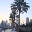 ���������� �����, ���� ������� Adulbosit, 48 ���, ������������ ��� ������, ����� � ���������, c�������� ���������, ���������