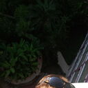 ���������� �����������, ���� ������� �������, 39 ���, ������������ ��� ������, ����� � ���������, c�������� ���������, ���������