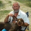 ���������� �����������, ���� ������� �������, 70 ���, ������������ ��� c�������� ���������