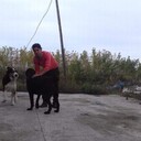  ,   Ruslik, 29 ,   ,   