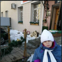 ���������� �����������, ���� ������� ���������, 31 ���, ������������ ��� ������, ����� � ���������, c�������� ���������, ���������