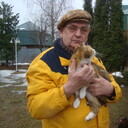 ,   , 81 ,   ,   