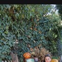 ���������� �����, ���� ������� ��������, 56 ���, ������������ ��� ����� � ���������, c�������� ���������