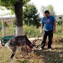 ���������� ������, ���� ������� ������, 57 ���, ������������ ��� ������, ����� � ���������