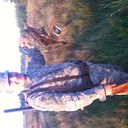 ���������� ��������, ���� ������� ����, 49 ���, ������������ ��� ������