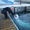 ���������� �����, ���� ������� PACIFICFROG, 61 ���, ������������ ��� ������, ����� � ���������, c�������� ���������