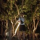 ���������� �����������, ���� ����� ��������, 23 ����, ������������ ��� ������, ����� � ���������