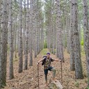 ���������� ����, ���� ������� ����, 37 ���, ������������ ��� ������, ����� � ���������