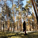 ���������� �������, ���� ������� ��������, 36 ���, ������������ ��� ������, ����� � ���������, c�������� ���������