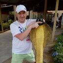 ���������� ����������, ���� ������� ����, 43 ����, ������������ ��� ������, ����� � ���������, c�������� ���������, ���������