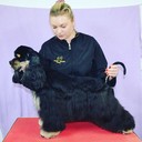 ���������� ������, ���� ������� �����, 39 ���, ������������ ��� ������, ����� � ���������, c�������� ���������