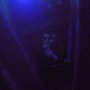 ���������� �����, ���� ����� �����, 24 ����, ������������ ��� ������, ����� � ���������