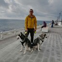 ���������� ������, ���� ������� Archi, 41 ���, ������������ ��� ������, ����� � ���������, c�������� ���������, ���������