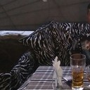 ���������� ����, ���� ������� ����, 35 ���, ������������ ��� ������, ����� � ���������, c�������� ���������