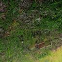 ���������� �������, ���� ����� �����, 24 ����, ������������ ��� ������, ����� � ���������, c�������� ���������, ���������