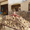 ���������� ������, ���� ������� �����, 46 ���, ������������ ��� ������, ����� � ���������, c�������� ���������