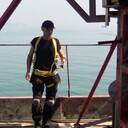 ���������� �����������, ���� ������� �������, 44 ����, ������������ ��� ������, ����� � ���������