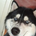 ���������� ������, ���� ������� �������, 30 ���, ������������ ��� ������, ����� � ���������