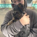 ���������� ��������, ���� ����� �������, 22 ����, ������������ ��� ������, ����� � ���������