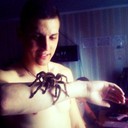 ���������� �����, ���� ������� �������, 31 ���, ������������ ��� ������