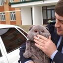 ���������� ���������, ���� ������� �����, 42 ����, ������������ ��� ������, ����� � ���������, c�������� ���������, ���������