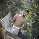  Azor,   Omari, 31 ,   ,   