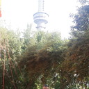 ���������� ������, ���� ������� ���, 45 ���, ������������ ��� ������, ����� � ���������, c�������� ���������