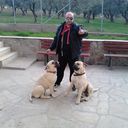  Alexandroupolis,   Ioannis, 55 ,   