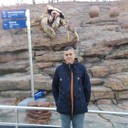 ���������� �����������, ���� ������� �������, 60 ���, ������������ ��� ������, ����� � ���������, c�������� ���������