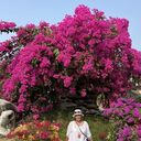   ,   , 58 ,     