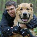 ���������� �����, ���� ������� ����, 44 ����, ������������ ��� ������, ����� � ���������, c�������� ���������