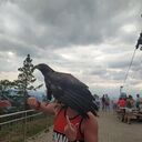 ���������� �����������, ���� ������� ����, 34 ����, ������������ ��� ������, ����� � ���������, c�������� ���������