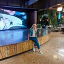  ,   , 54 ,   ,   