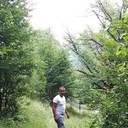 ���������� �������, ���� ������� Oto, 37 ���, ������������ ��� ������, ����� � ���������, c�������� ���������