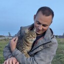 ���������� ������, ���� ������� ���������, 29 ���, ������������ ��� ������, ����� � ���������