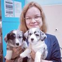 ���������� ������, ���� ������� �����, 26 ���, ������������ ��� ����� � ���������, c�������� ���������