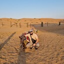 ���������� �������, ���� ������� �������, 31 ���, ������������ ��� ������