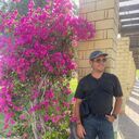 ���������� ������, ���� ������� �����, 38 ���, ������������ ��� ������, ����� � ���������