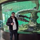 ���������� �����������, ���� ������� ����, 36 ���, ������������ ��� ������, ����� � ���������