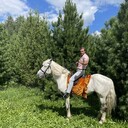  ,   ALEX, 35 ,   ,   , c 