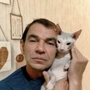  ,   , 61 ,     , c , 