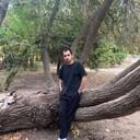 ���������� ���������, ���� ����� ��������, 19 ���, ������������ ��� ������, ����� � ���������