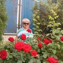  ,   , 61 ,  