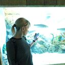  ,   , 50 ,   ,   , c , 